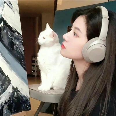 江湖恩仇录