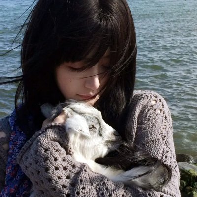 激流四勇士